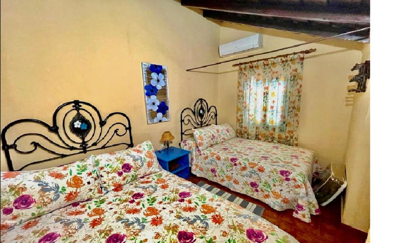 فيلافلور Casa Rural Finca Paraiso. Heated Pool المظهر الخارجي الصورة