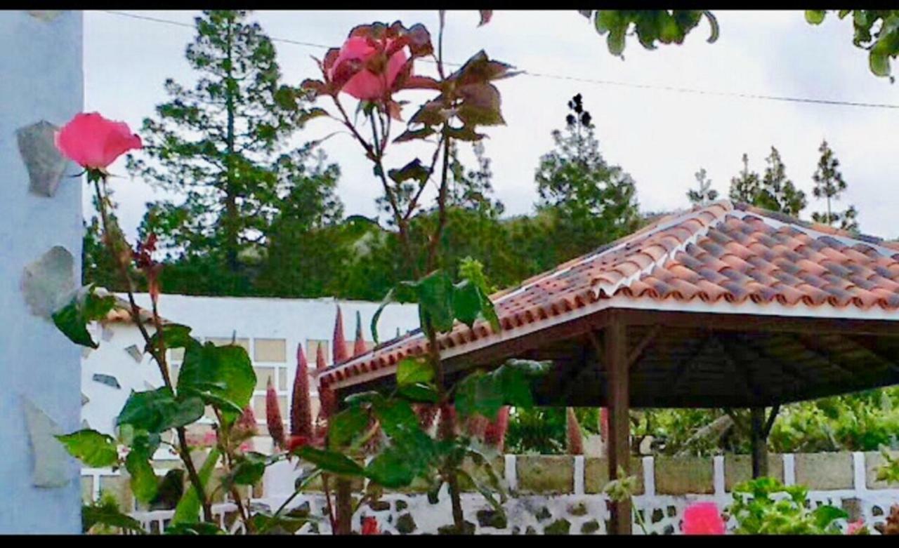 فيلافلور Casa Rural Finca Paraiso. Heated Pool المظهر الخارجي الصورة